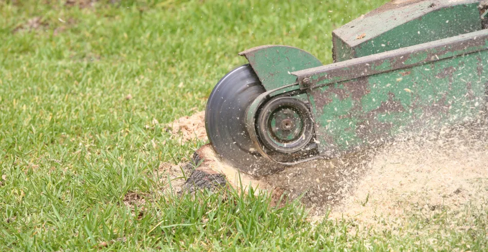 Home Stump Services