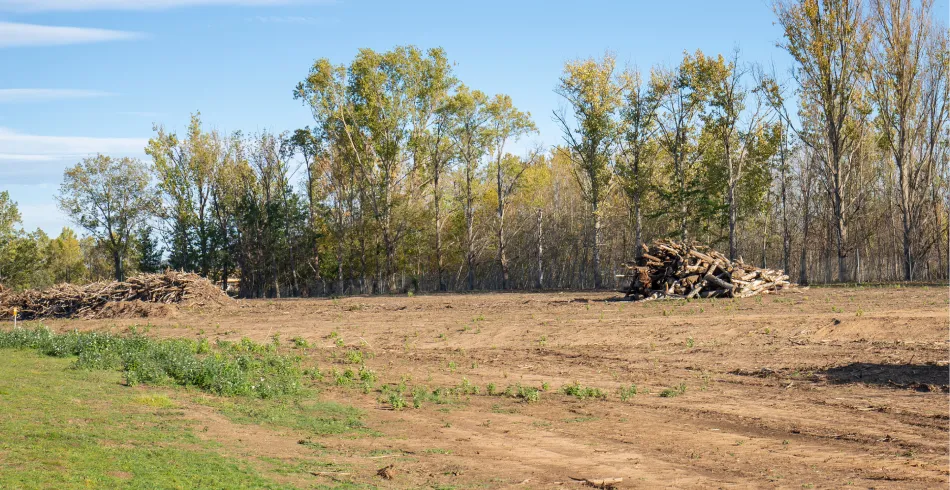 Land Clearing Land Clearing